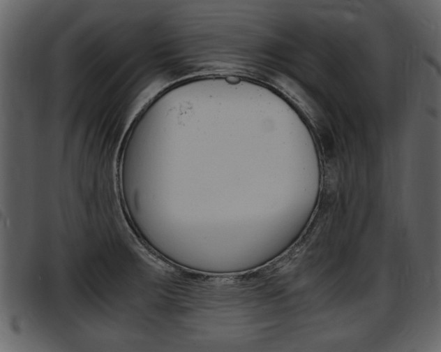 X0000097641283200802290813