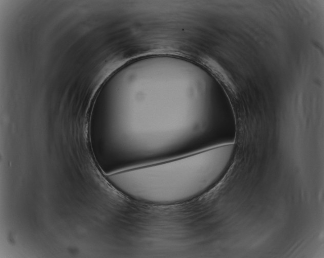 X0000097641284200802290813