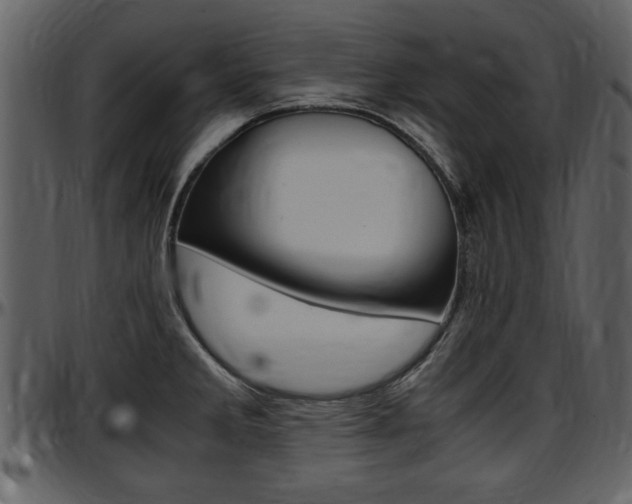 X0000097641285200802290813