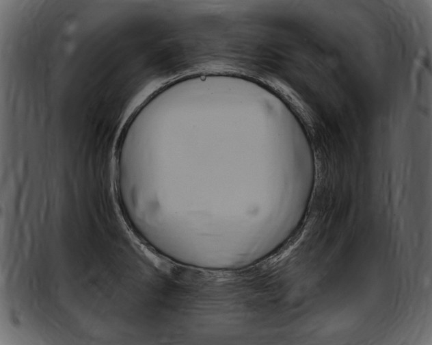 X0000097641286200802290813