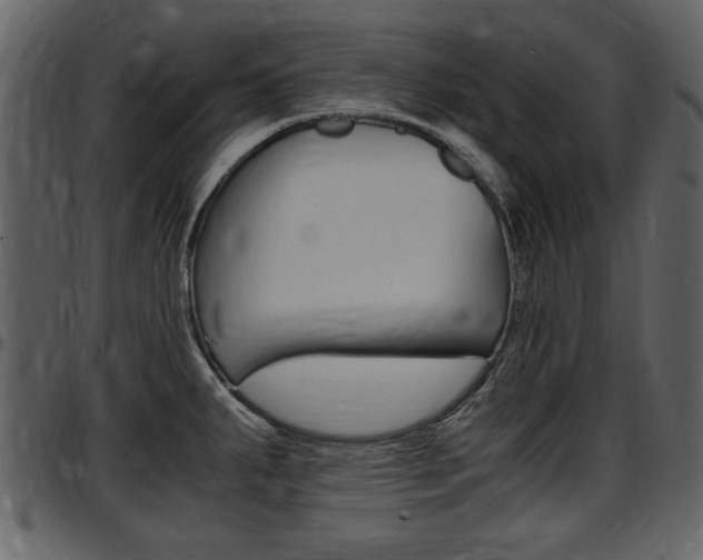 X0000097641287200802290813