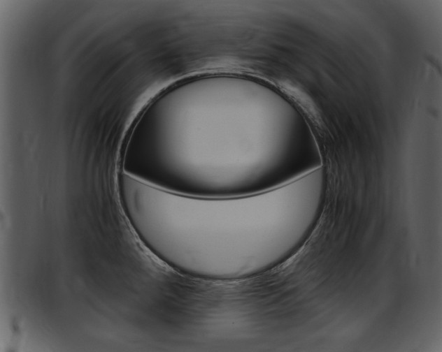 X0000097641288200802290813