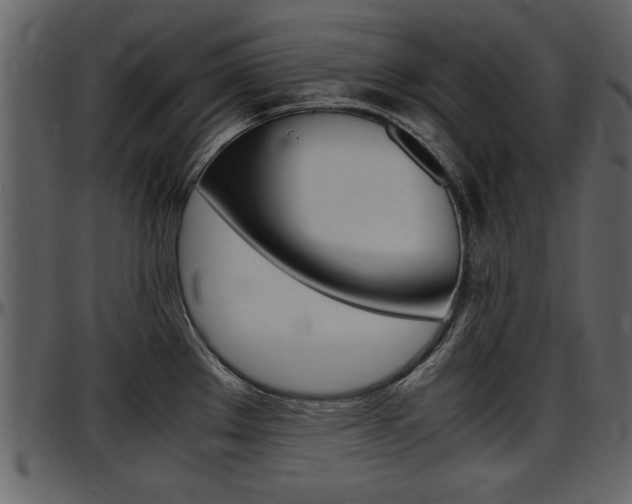 X0000097641289200802290813