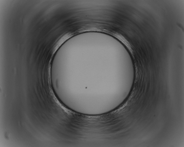 X0000097641290200802290813