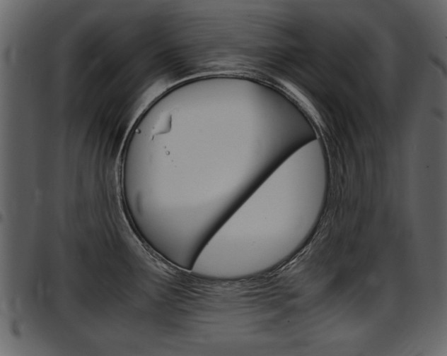 X0000097641291200802290813