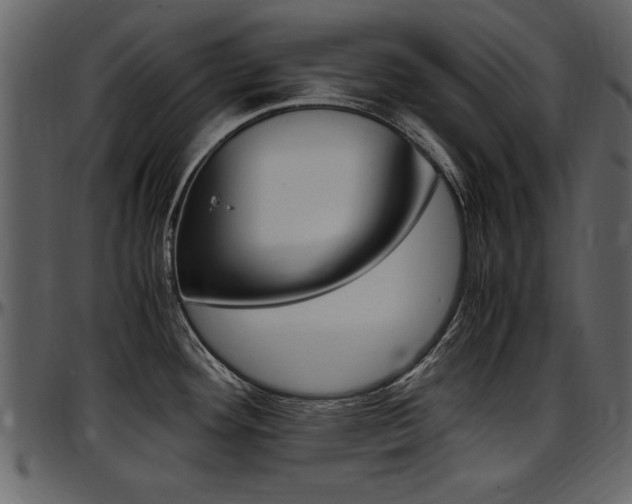 X0000097641292200802290813