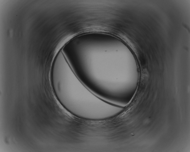 X0000097641293200802290813