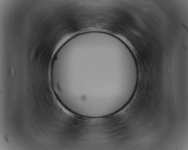 X0000097641294200802290813