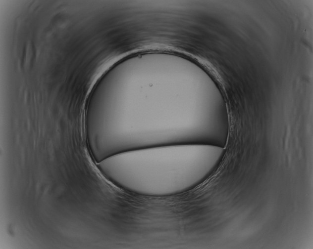 X0000097641295200802290813
