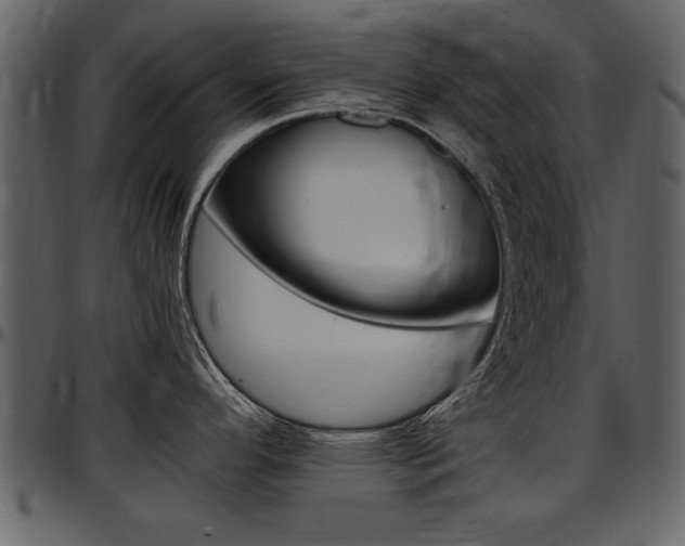 X0000097641296200802290813