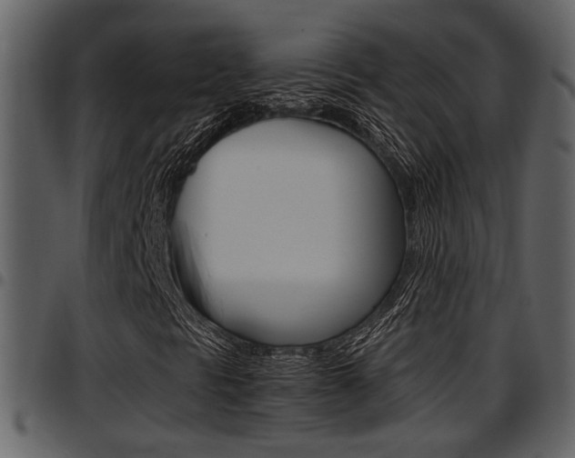 X0000097641297200802290812