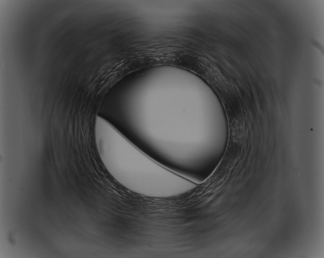 X0000097641298200802290812