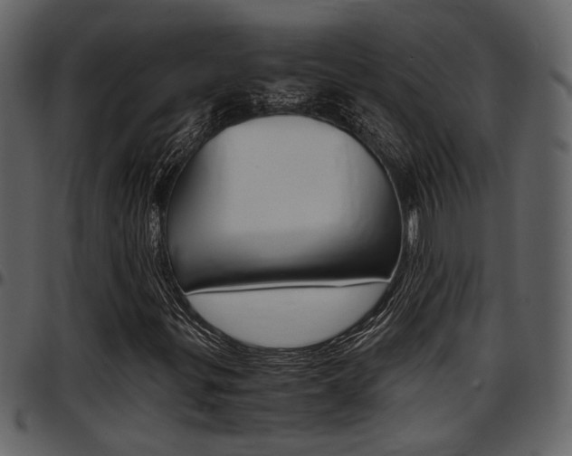 X0000097641299200802290812