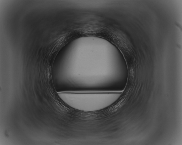 X0000097641300200802290812