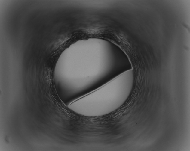 X0000097641301200802290812