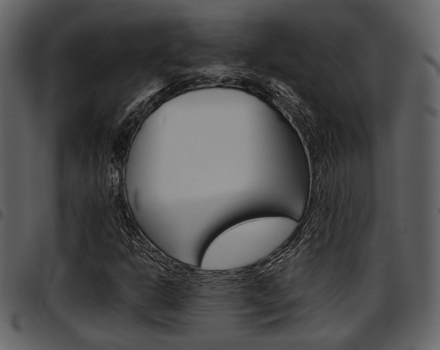 X0000097641302200802290812