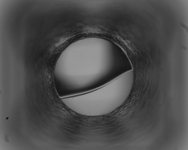 X0000097641303200802290812