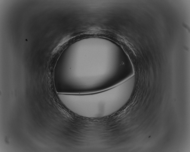 X0000097641304200802290812