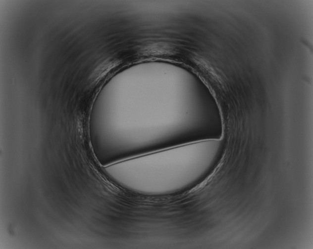 X0000097641305200802290812
