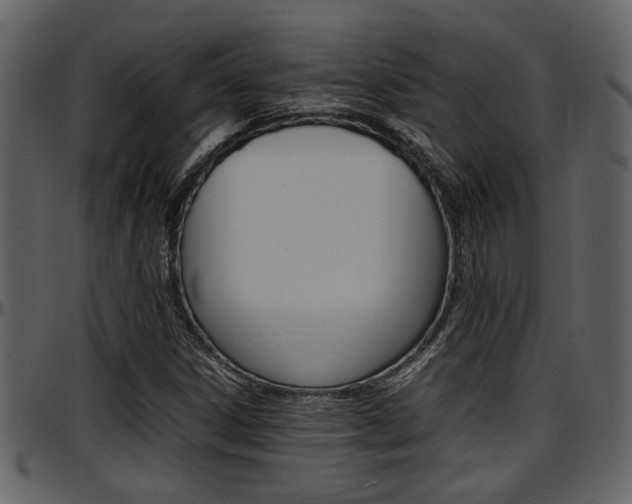 X0000097641306200802290812