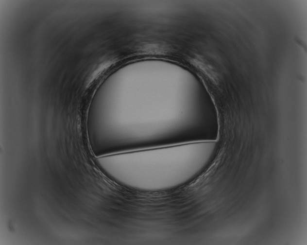 X0000097641307200802290812