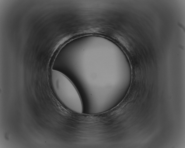 X0000097641308200802290812