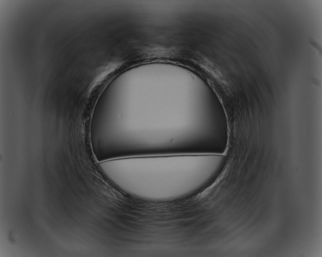 X0000097641309200802290812
