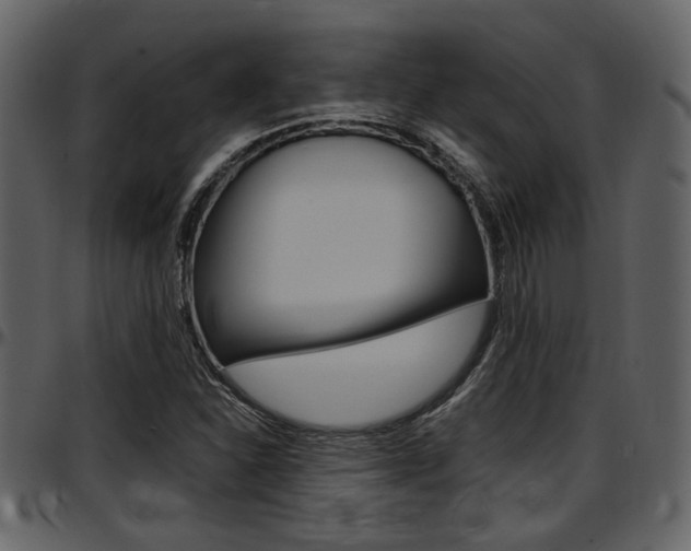 X0000097641310200802290812