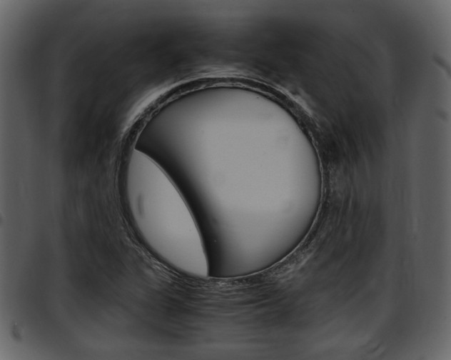 X0000097641311200802290812