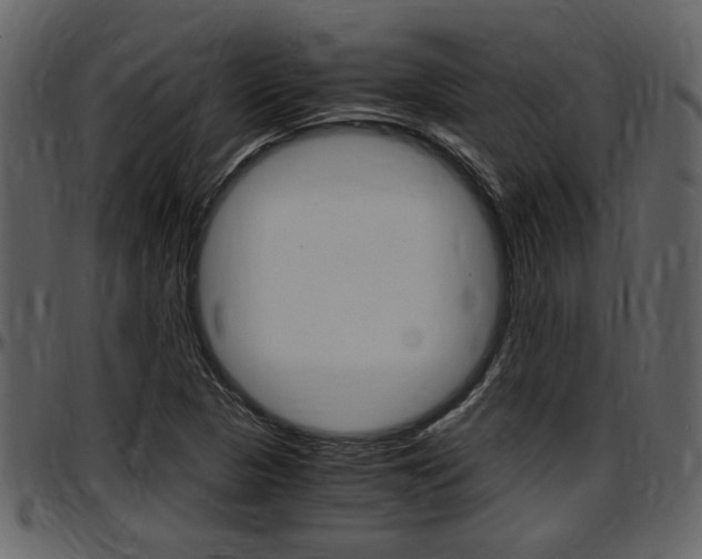 X0000097641313200802290812