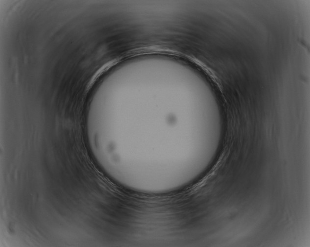 X0000097641314200802290812