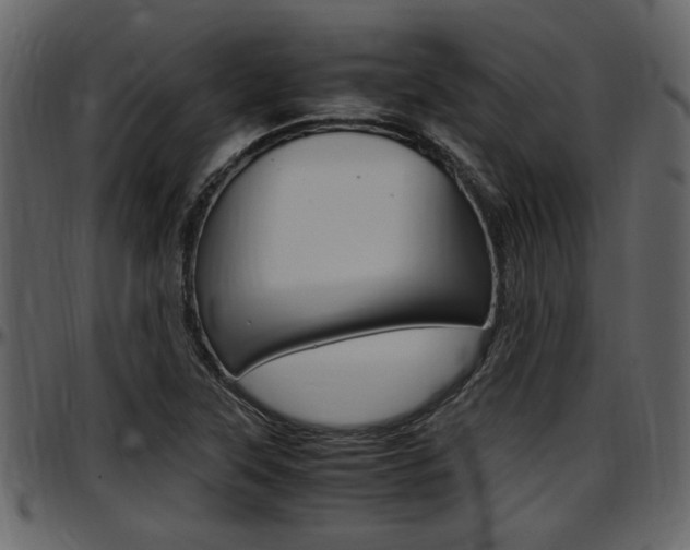 X0000097641315200802290812