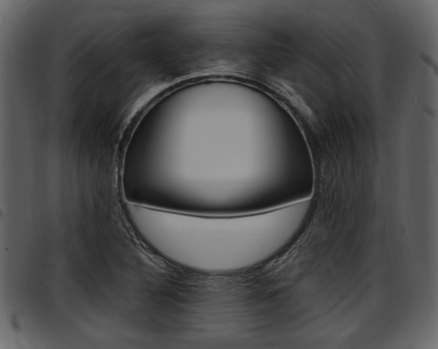 X0000097641316200802290812