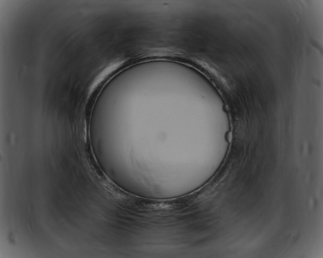 X0000097641317200802290812