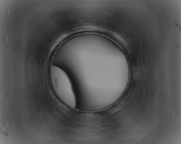 X0000097641318200802290813