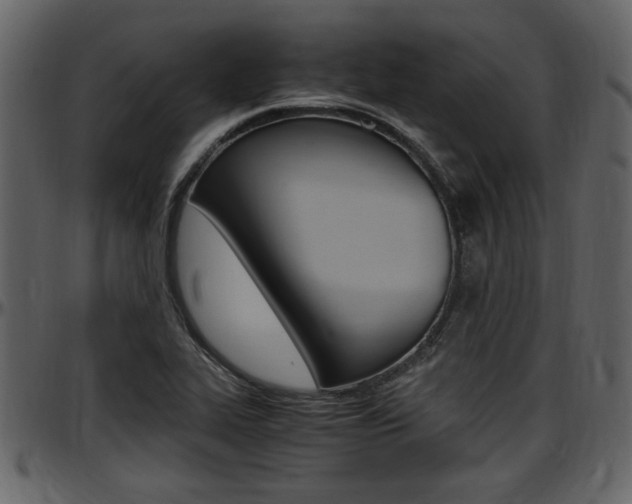 X0000097641319200802290813