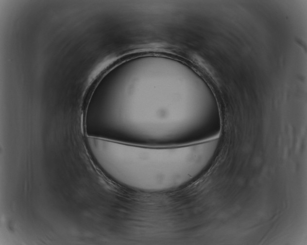 X0000097641320200802290813