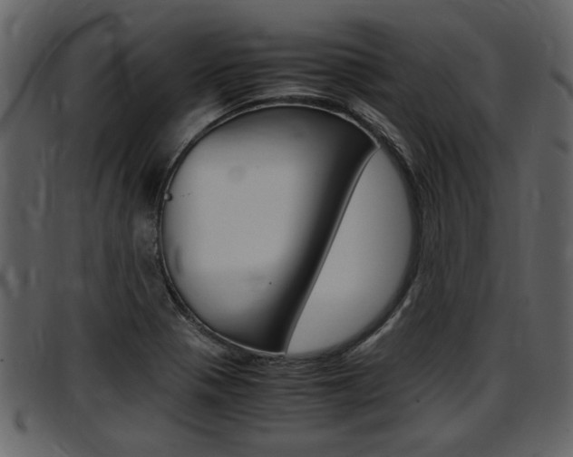 X0000097641321200802290813
