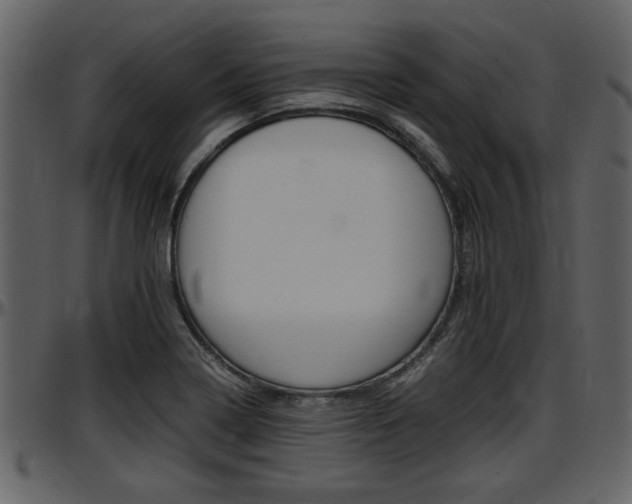 X0000097641322200802290813