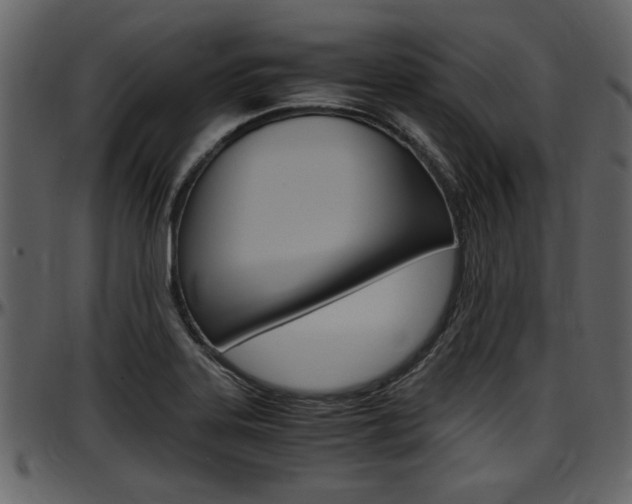 X0000097641323200802290813