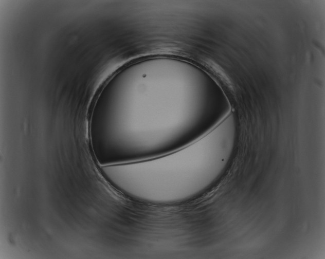 X0000097641324200802290813