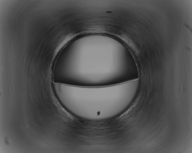 X0000097641325200802290813