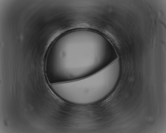 X0000097641326200802290813
