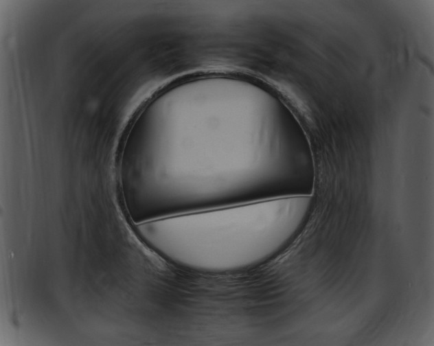 X0000097641327200802290813