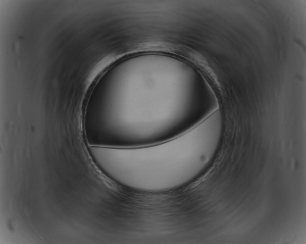 X0000097641328200802290813