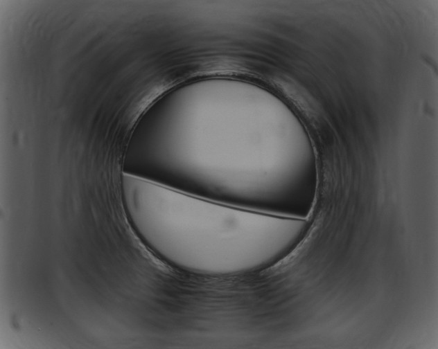 X0000097641329200802290813
