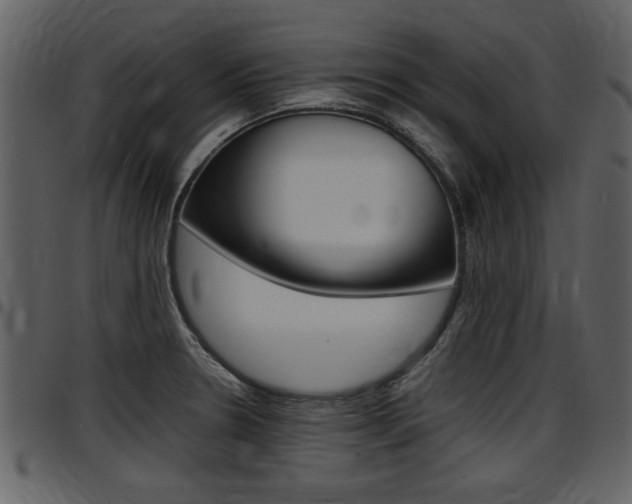 X0000097641330200802290813