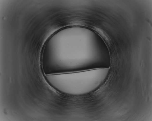 X0000097641331200802290813