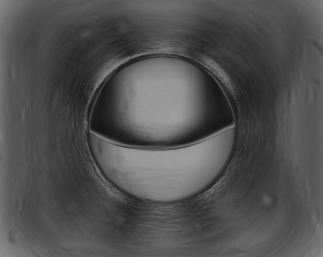 X0000097641332200802290813