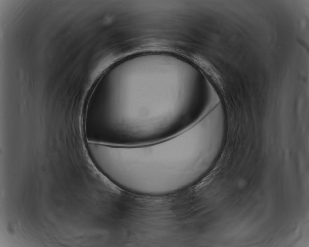 X0000097641334200802290813